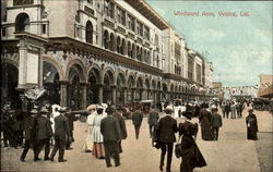 Windward Ave. Postcard