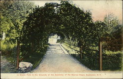 Shady Path In The Grounds Of The Academy Of The Sacred Heart Postcard