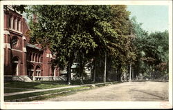 Oak Street Plattsburgh, NY Postcard Postcard