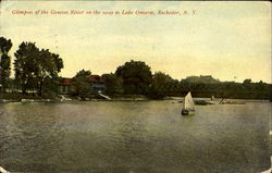 Glimpses Of The Genesee River Postcard