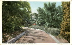 Palm Knoll, Canyon Crest Park Postcard