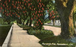 Marengo Ave Postcard