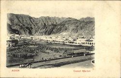 Camel Market Aden, Yemen Middle East Postcard Postcard