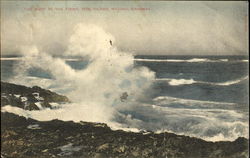 The Surf At The Point, Hog Island Postcard