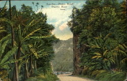 Arecibo Ponce Road Postcard