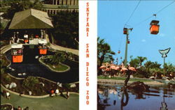 Skyfari San Diego Zoo California Postcard Postcard