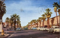 Palm Canyon Drive Postcard