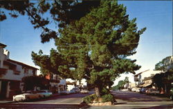 Picturesque Ocean Avenue Carmel, CA Postcard Postcard