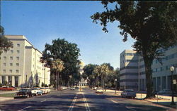 Sacramento Postcard