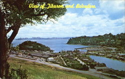 View Of Tiburon And Belvedere Postcard