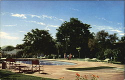 Paso Robles Inn Swimming Pool California Postcard Postcard