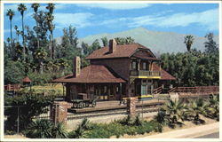 Los Angeles State & County Arboretum Arcadia, CA Postcard Postcard