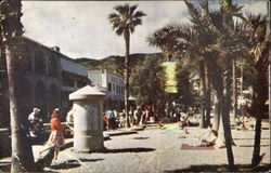 Beach At Santa Catalina Santa Catalina Island, CA Postcard Postcard