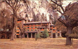 Yosemite National Park Postcard