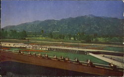 Horses Parading To The Post, Santa Anita Park Arcadia, CA Postcard Postcard