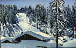 The Ski House At Badger Pass, Yosemite national Park Postcard