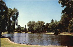 William Land Park Postcard