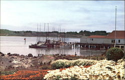 Bodega Bay Postcard