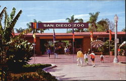 San Diego Zoo Postcard