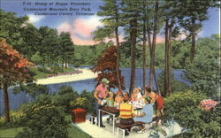 Group Of Happy Picnickers, Cumberland Mountain State Park Tennessee Postcard Postcard