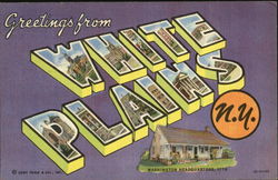 Greetings From White Plains Postcard