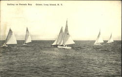 Sailing On Peconic Bay, Long Island Postcard