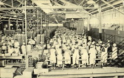 The Dole Pineapple Cannery In Honolulu Postcard