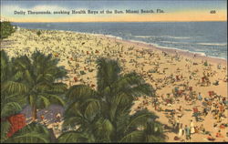 Daily Thousands Seeking Health Rays Of The Sun Miami Beach, FL Postcard Postcard