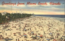 Greetings From Miami Beach Postcard