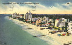 Looking South Form 43Rd Street Miami Beach, FL Postcard Postcard