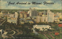 The Skyline Of Miami Postcard