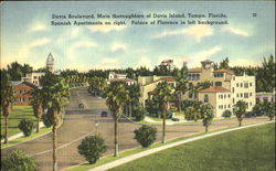 David Boulevard Tampa, FL Postcard Postcard