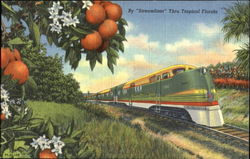 By Streamliner Thru Tropical Florida Postcard