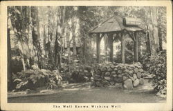 The Well Known Wishing Well Brookdale, CA Postcard Postcard