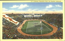 Coliseum, Exposition park Postcard