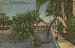 Florida's Silver Springs Postcard Postcard