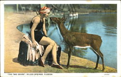 The Two Dears Silver Springs, FL Postcard Postcard