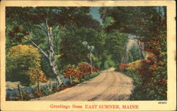 Greetings From East Sumner Postcard