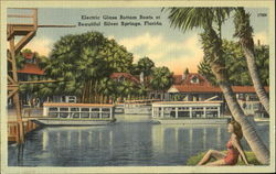 Electric Glass Bottom Boats Silver Springs, FL Postcard Postcard