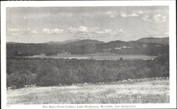 The Mayo Farm Cabins, Lake Waukewan Meredith, NH Postcard Postcard