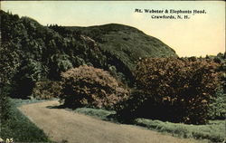 Mt. Webster & Elephants Head Crawford Notch, NH Postcard Postcard