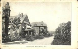 Bloomingdale Postcard