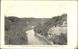 A View Of The Gorge, Driving Park Ave. Bridge Rochester, NY Postcard Postcard