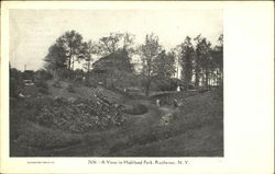 A View In Highland Park Rochester, NY Postcard Postcard