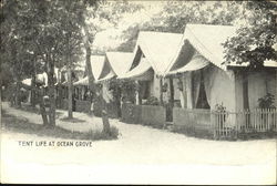 Tent Life At Ocean Grove Postcard