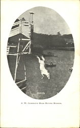 J. W. Gorman's High Diving Horses Postcard