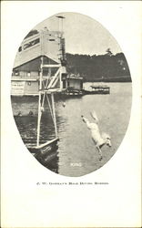 J. W. Gorman's High Diving Horses Postcard