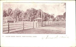 Savin Rock Grove Postcard