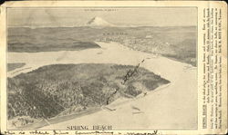 Mt. Tacoma, Spring Beach Washington Postcard Postcard