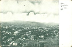 Hornellsville From Tobe's Hill Postcard